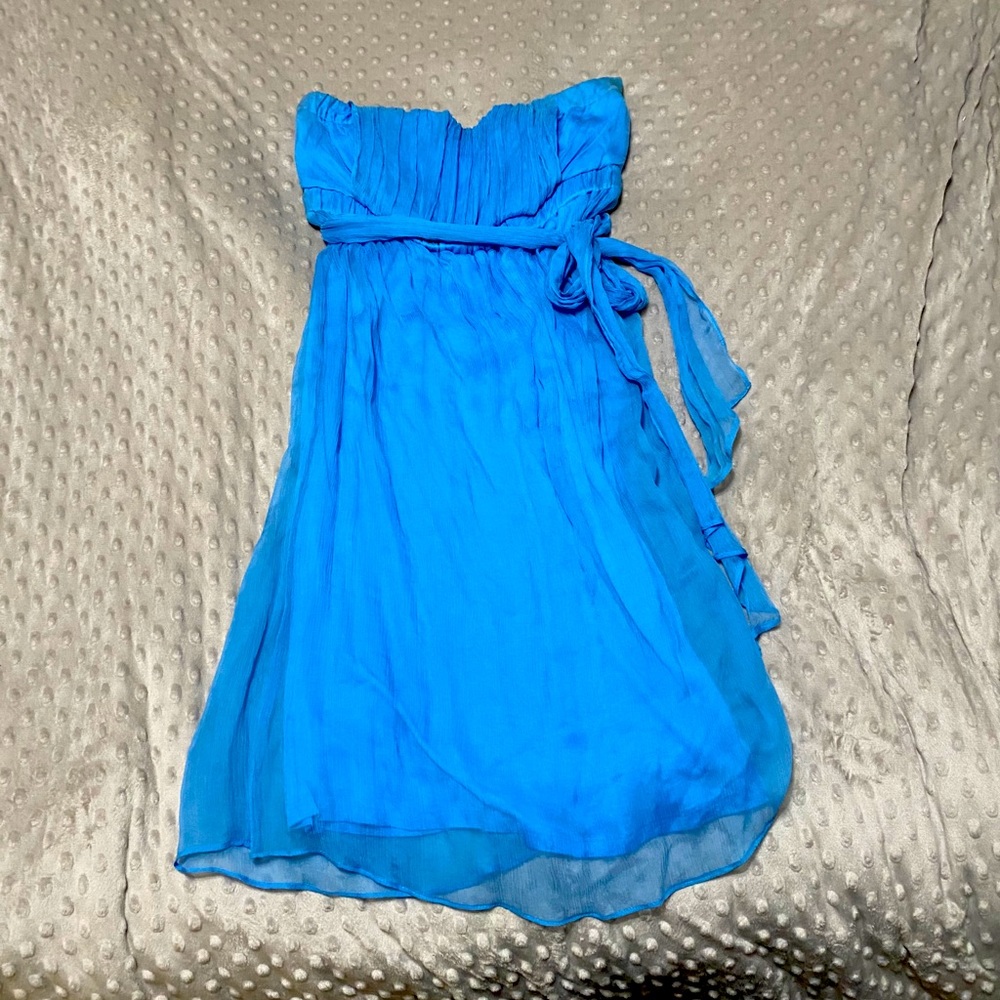 Arden B strapless chiffon & silk dress NWT